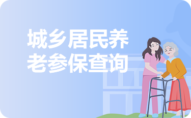 城乡居民养老参保查询
