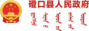 磴口县人民政府logo